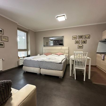Harrachov Resident Apartments "Terrace & Chill" - High Speed Wifi, Smart Tv, Netflix, Disney Plus 외부 사진